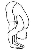 standing-hamstring-stretch