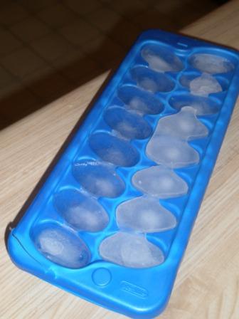 icetray-in-kitchen