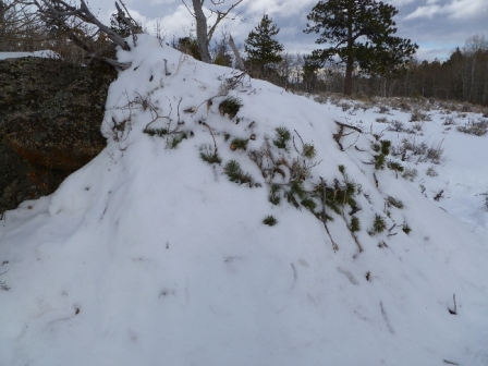 twin-mountain-trudge-snow-shelter