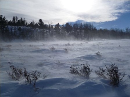 twin-mountain-trudge-trail-race