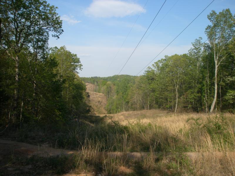 Chicopee Woods trail